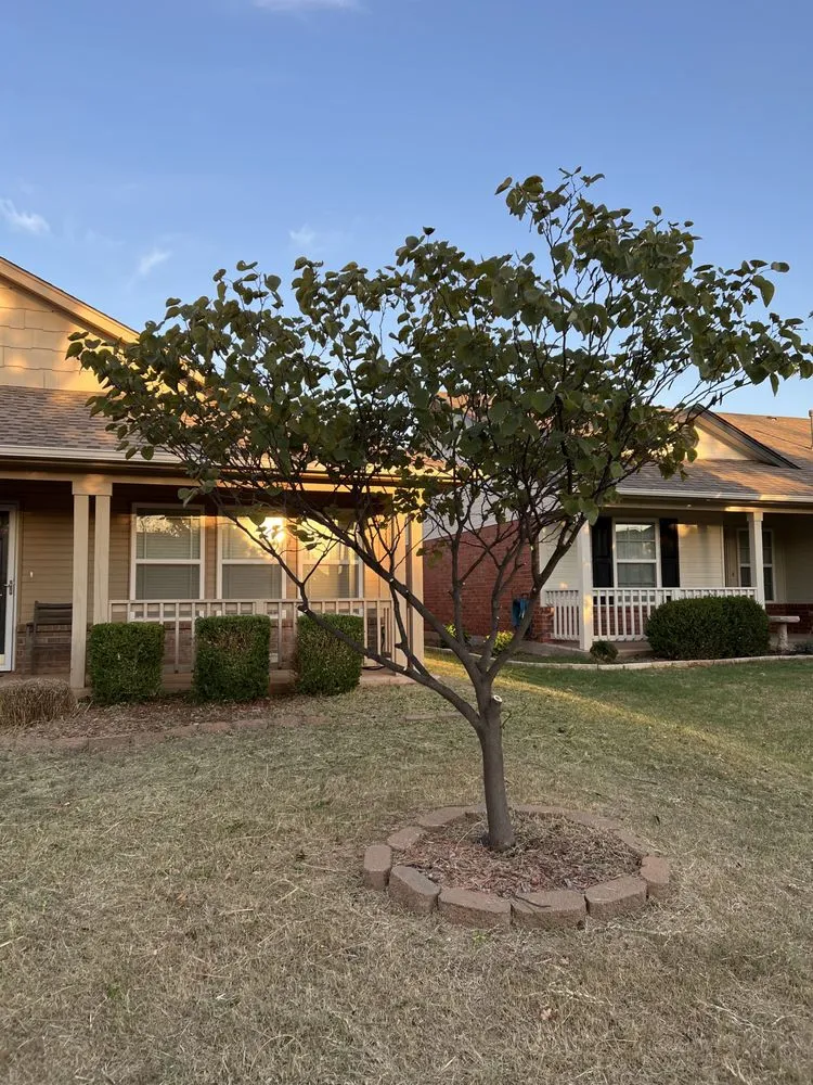 Professional residential landscaping in Edmond, OK by TrueMow