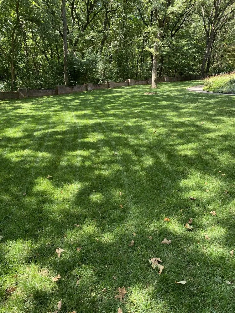 Expert residential landscaping for year-round maintenance in Edmond, OK by TrueMow