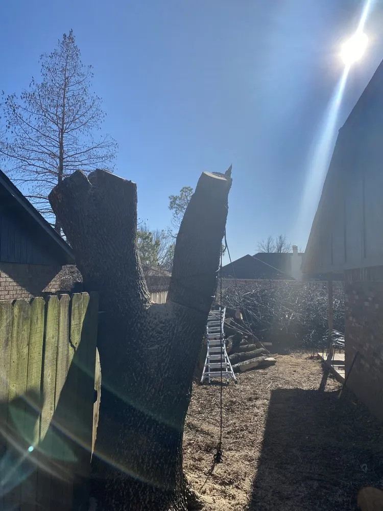 Expert lawn care service for year-round maintenance in Edmond, OK by TrueMow