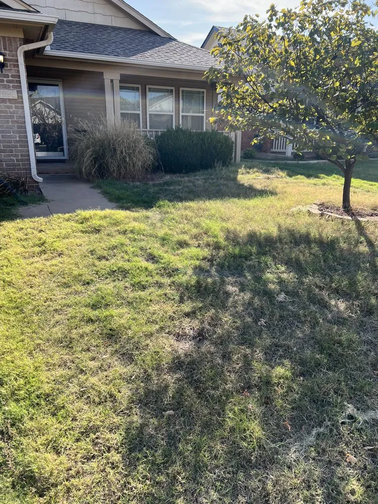Local yard maintenance near you in Edmond, OK by TrueMow