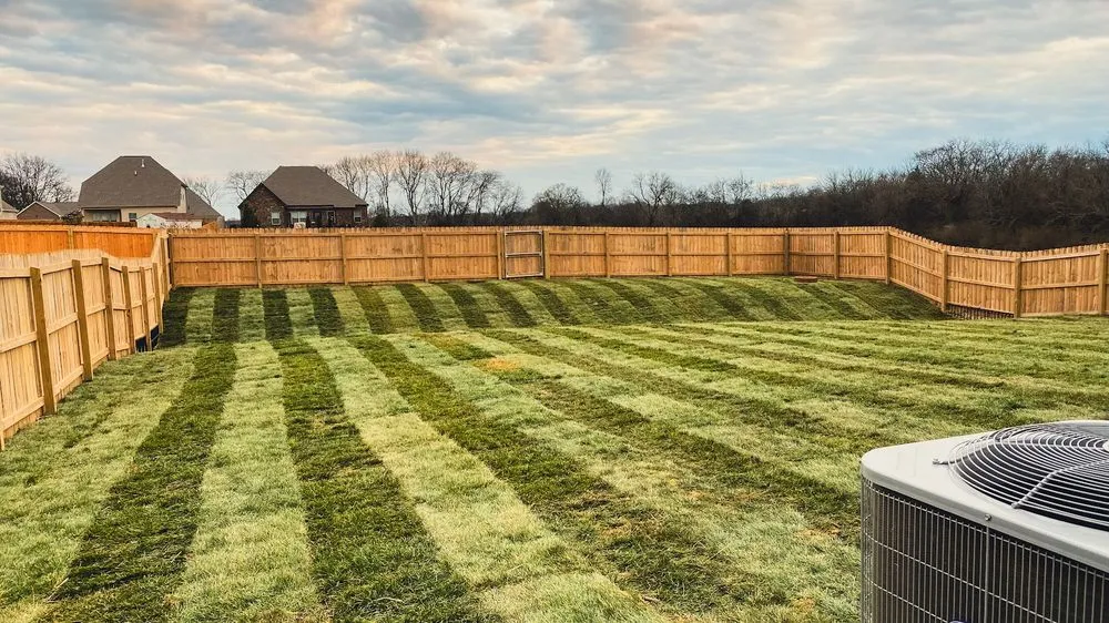 Expert landscape installation for outdoor upgrades across Lebanon, TN - TruePoint Land Management