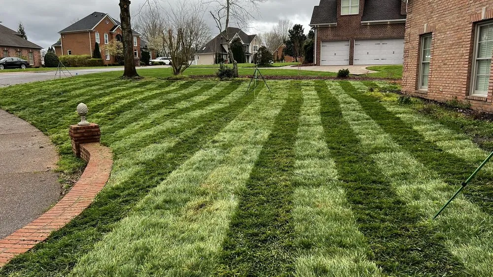 Reliable yard cleanup service experts serving Lebanon, TN - TruePoint Land Management