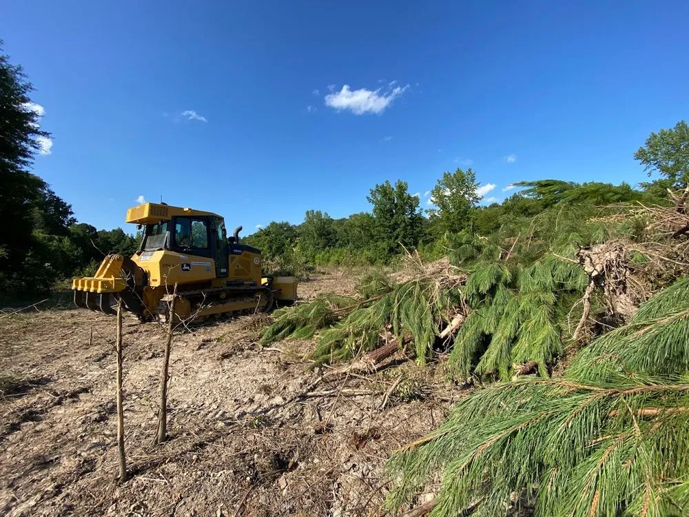 Trusted landscape design in Lebanon, TN by TruePoint Land Management