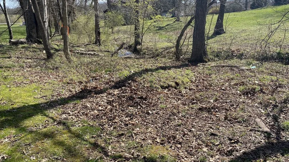 Expert lawn mowing service in Lebanon, TN by TruePoint Land Management