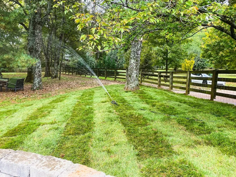 Trusted yard maintenance for homes across Lebanon, TN - TruePoint Land Management