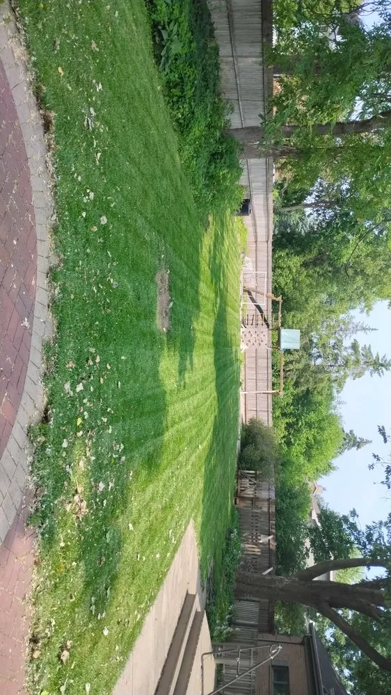 Custom lawn mowing service in Oshkosh, WI by TrueRoot Landscaping