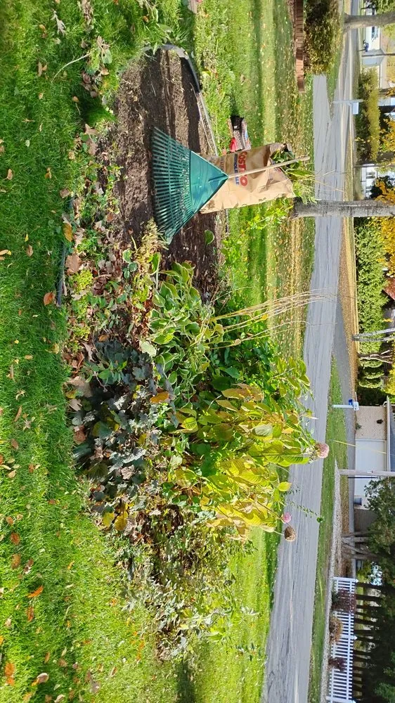 Reliable yard cleanup service in Oshkosh, WI by TrueRoot Landscaping