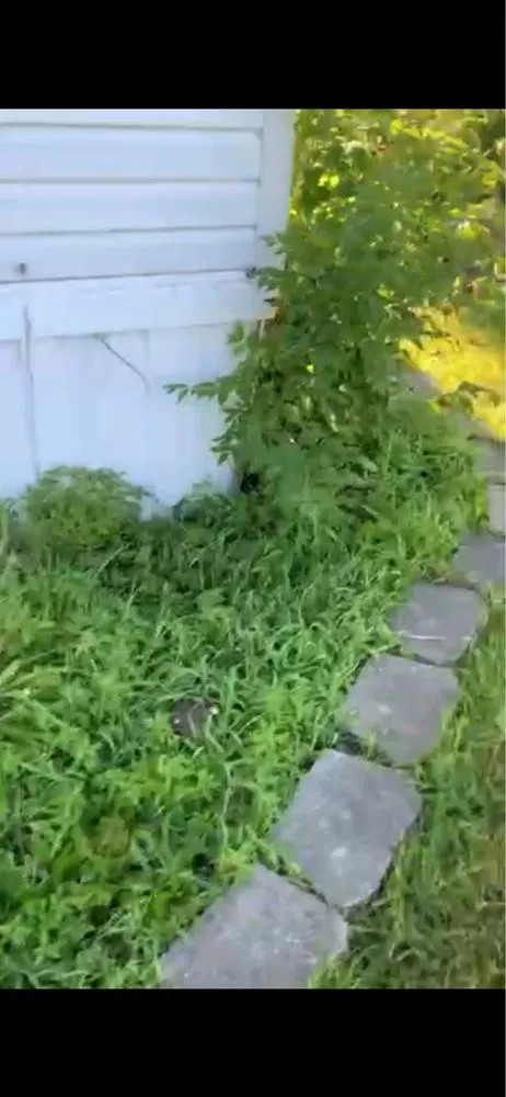 Professional outdoor landscaping with custom design across Hamilton, OH - Trueroots Landscaping & Cuts