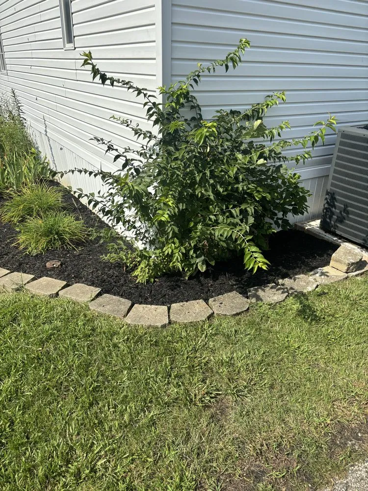 Trusted landscaping services near you across Hamilton, OH - Trueroots Landscaping & Cuts