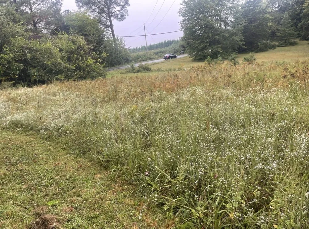 Affordable landscape design in Kents Store, VA - TrueScapes Landscaping