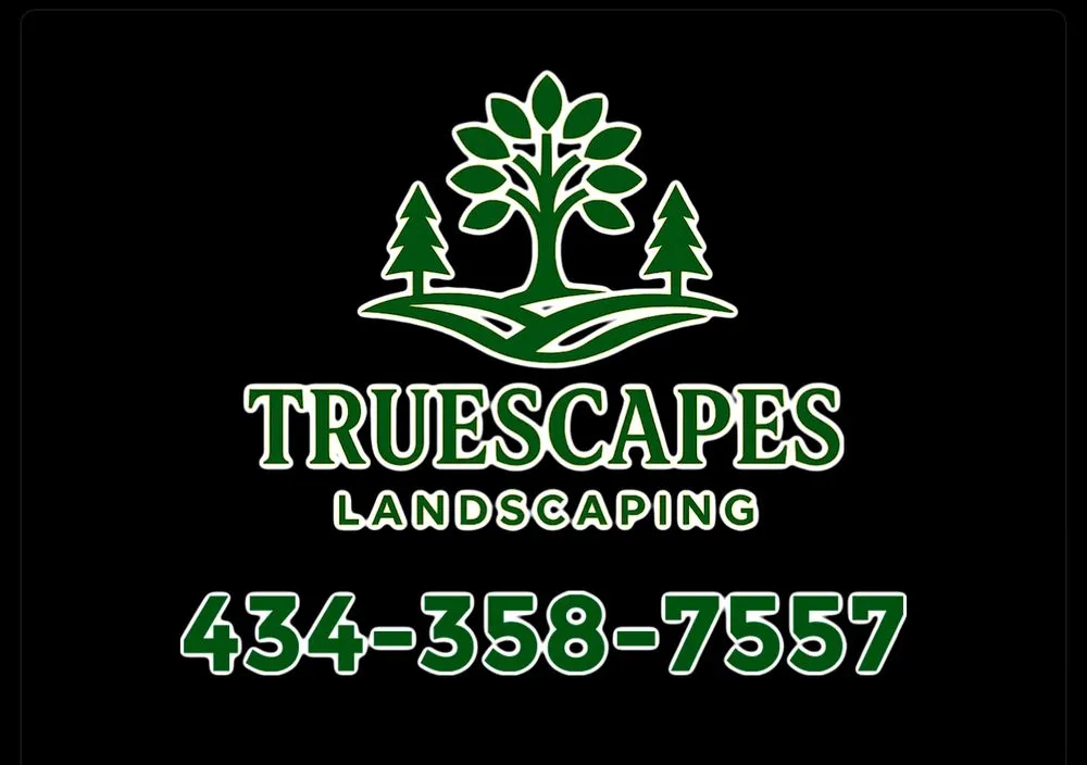 Reliable yard cleanup service experts serving Kents Store, VA - TrueScapes Landscaping