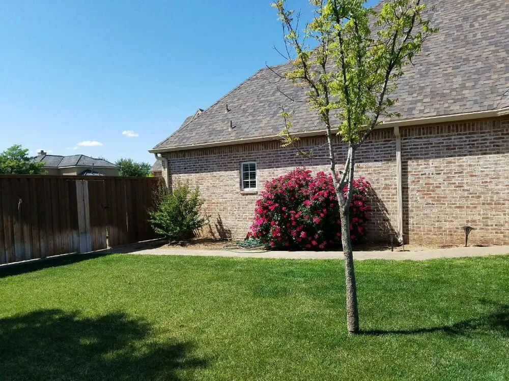 Top-rated yard cleanup service near you in Lubbock, TX by Truescapes Lawn Pros