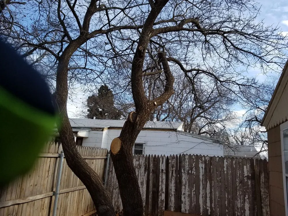 Expert landscaping services in Lubbock, TX by Truescapes Lawn Pros