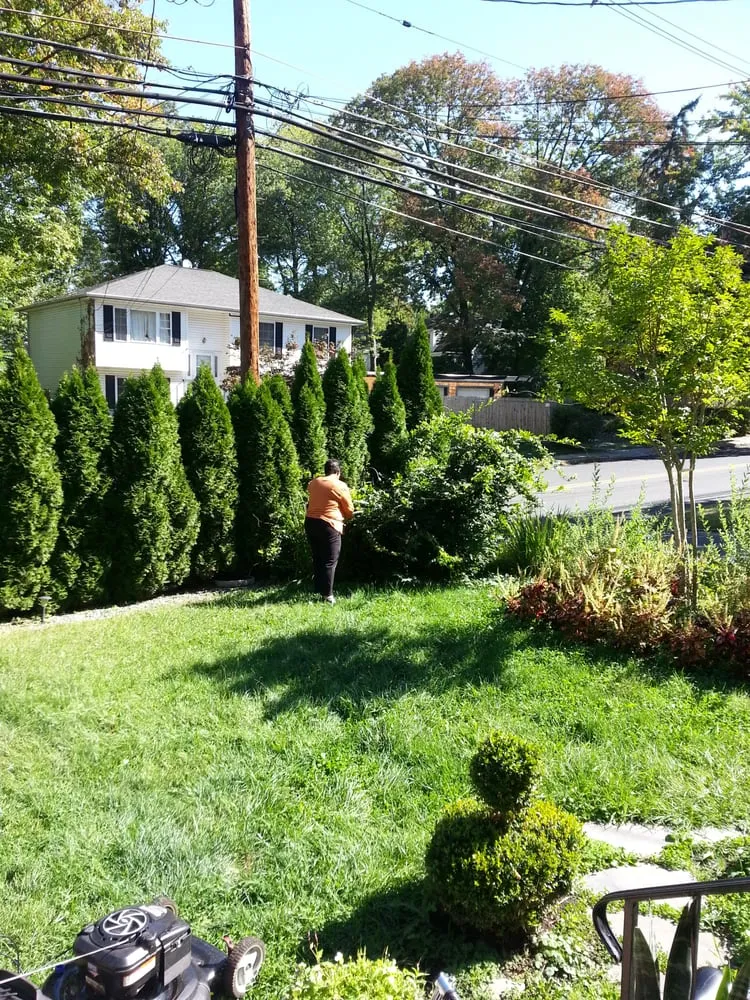 Custom landscaping services in Warren, NJ by Truesdale Nursery
