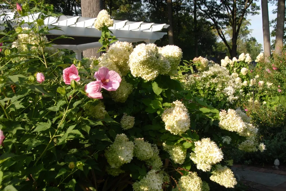 Expert yard maintenance for residential properties across Warren, NJ - Truesdale Nursery