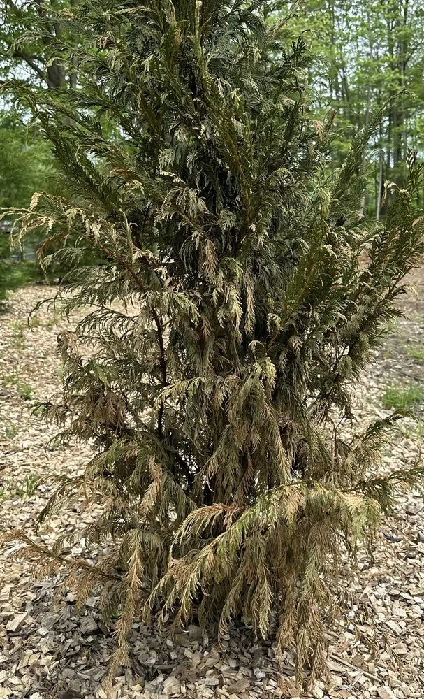 Top-rated residential landscaping in Warren, NJ by Truesdale Nursery