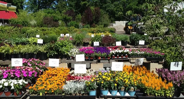 Local yard cleanup service for beautiful yards across Warren, NJ - Truesdale Nursery