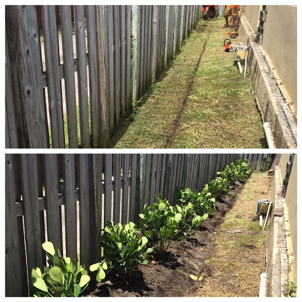 Professional yard maintenance in Fort Lauderdale, FL - Truesdale's Lawn Care