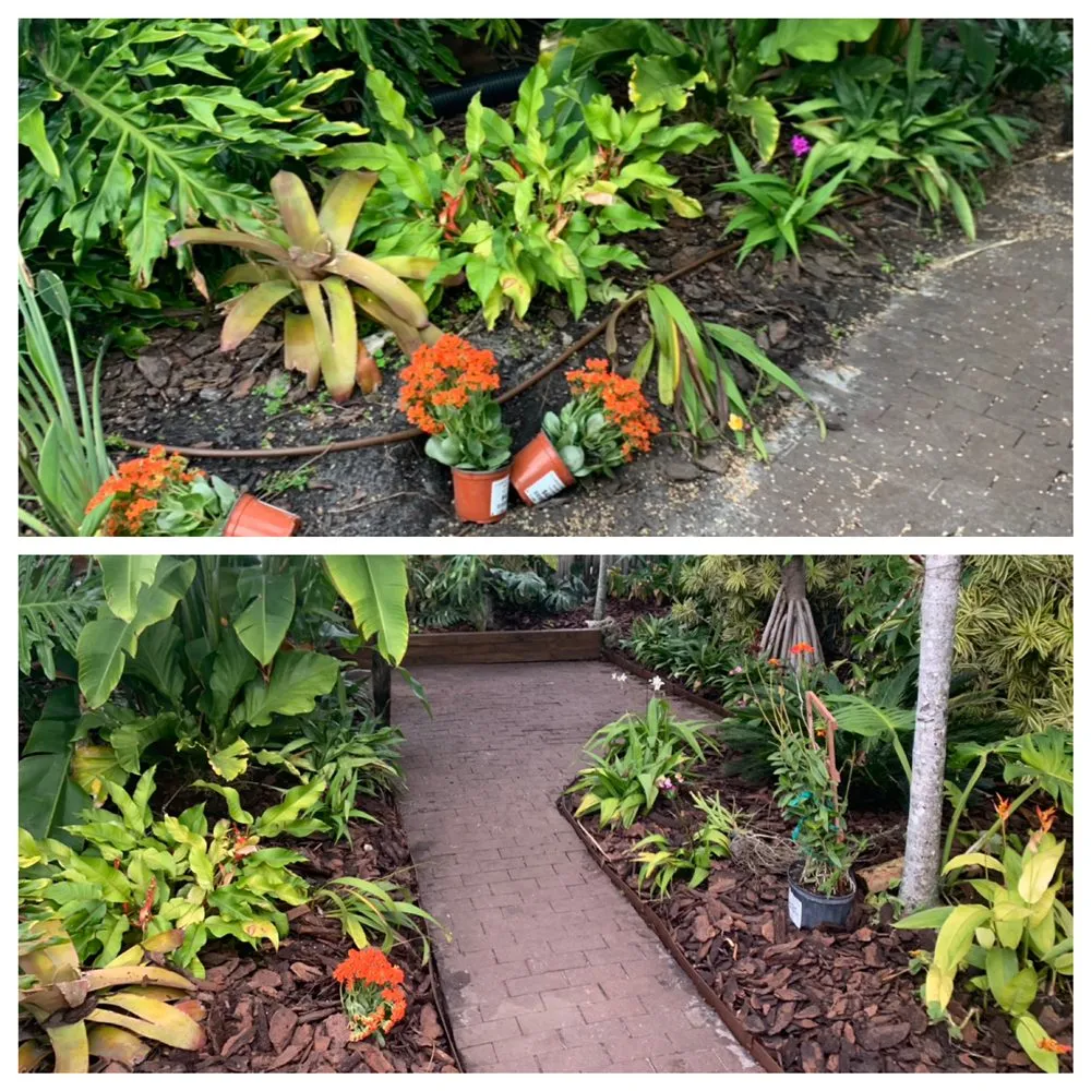 Expert landscaping services with custom design in Fort Lauderdale, FL by Truesdale's Lawn Care