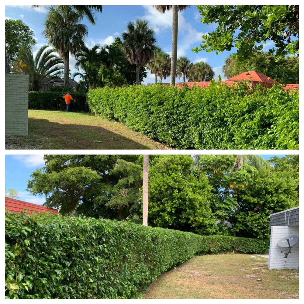 Professional landscape installation in Fort Lauderdale, FL - Truesdale's Lawn Care