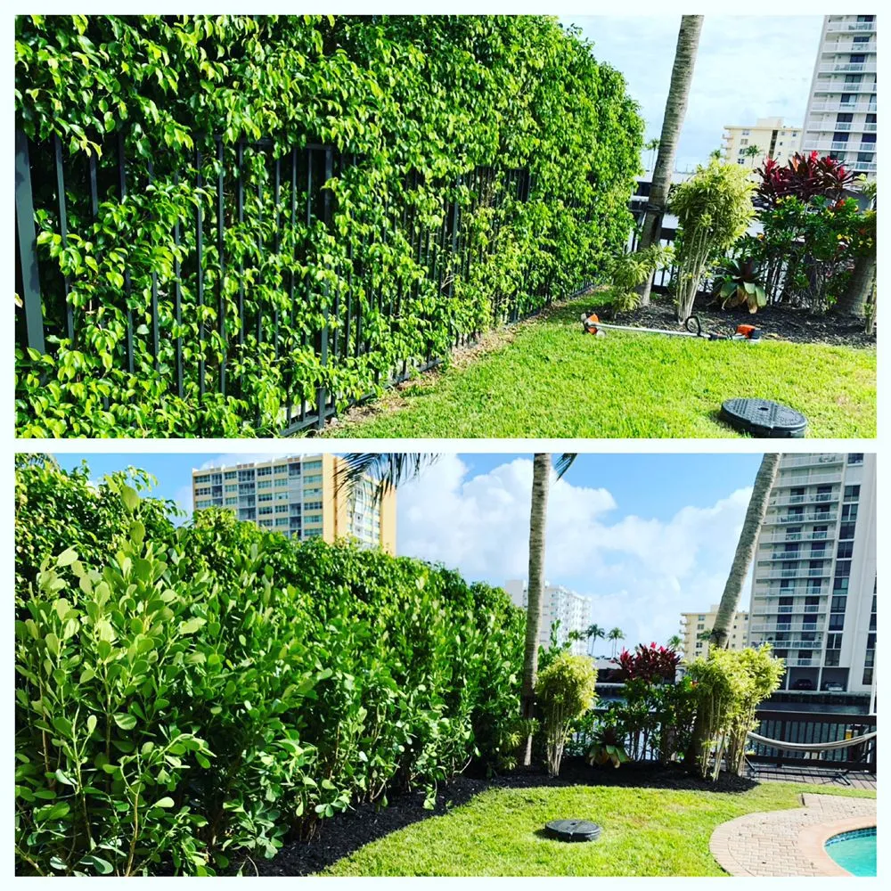 Local outdoor landscaping experts serving Fort Lauderdale, FL - Truesdale's Lawn Care