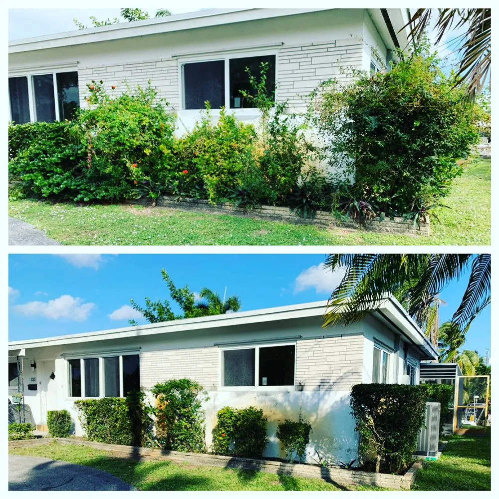 Local yard cleanup service in Fort Lauderdale, FL - Truesdale's Lawn Care