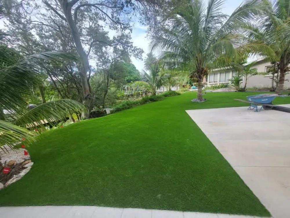 Top-rated yard cleanup service experts serving St. Petersburg, FL - Truest Clean