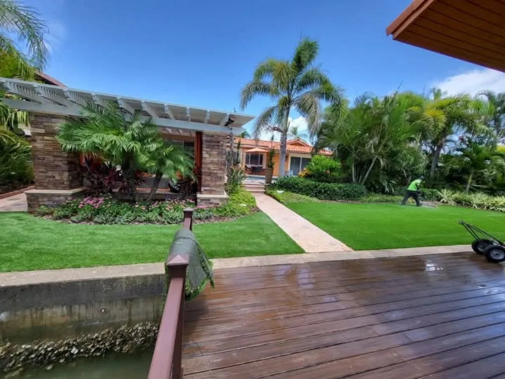 Custom lawn care service for homes across St. Petersburg, FL - Truest Clean