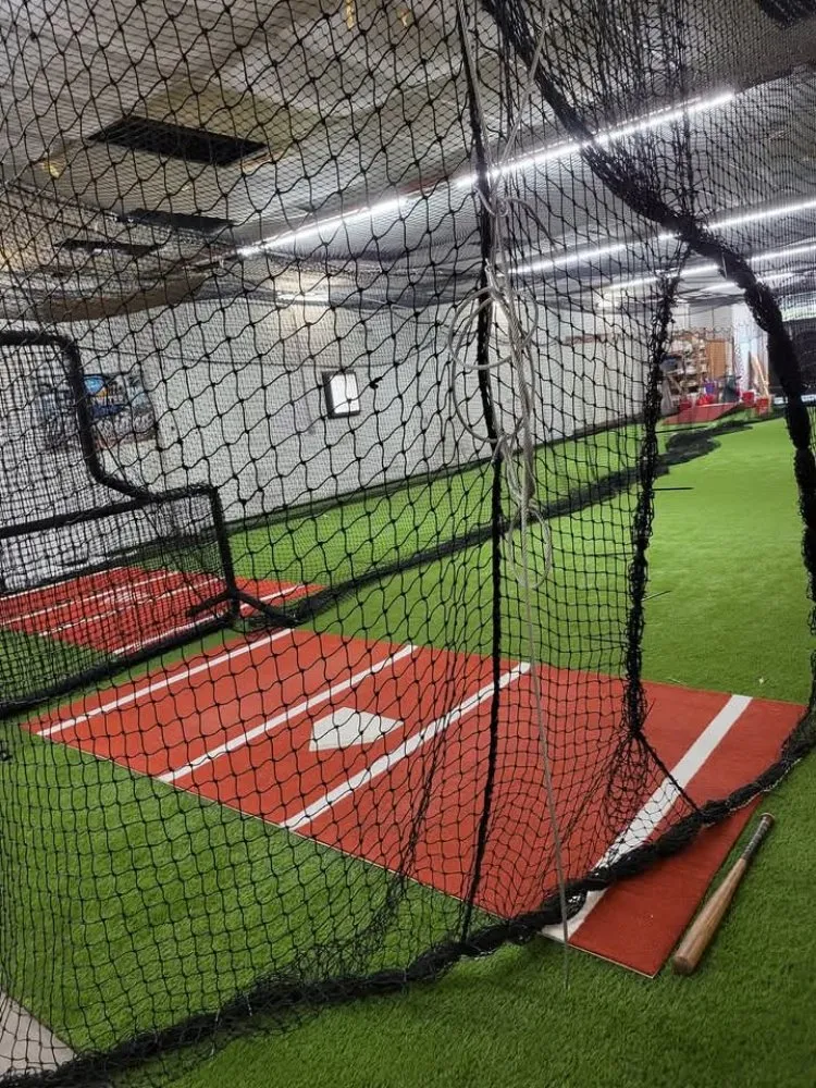 Trusted landscape design for outdoor upgrades in St. Petersburg, FL by Truest Clean