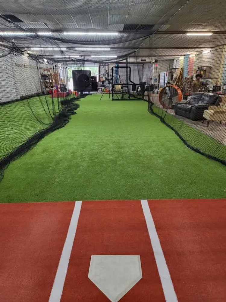 Professional yard maintenance in St. Petersburg, FL - Truest Clean