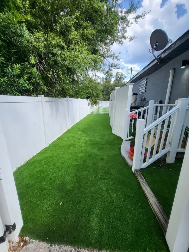 Top-rated yard maintenance in St. Petersburg, FL by Truest Clean