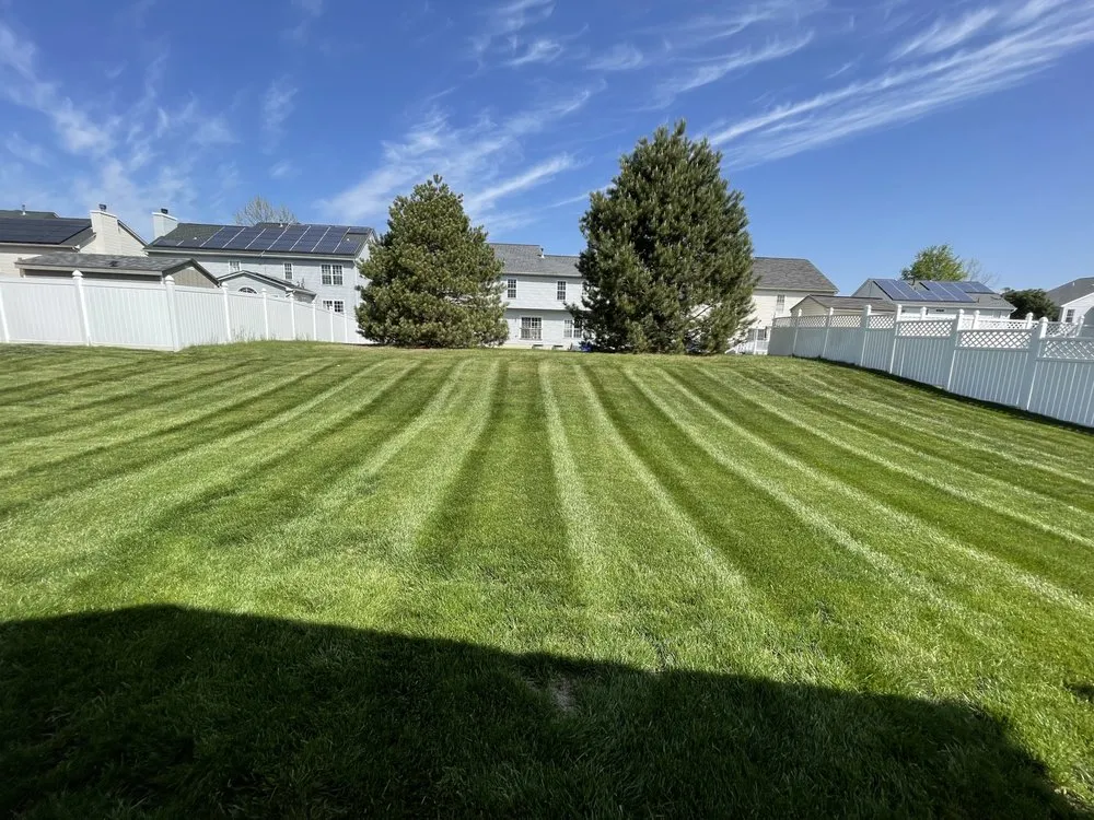 Reliable landscaping services experts serving La Plata, MD - TrueView Landscaping