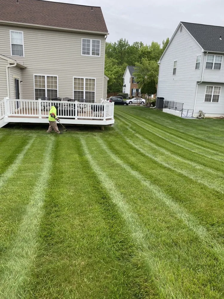 Reliable landscaping services experts serving La Plata, MD - TrueView Landscaping