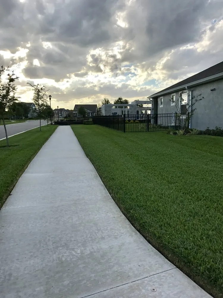 Reliable lawn mowing service in Lithia, FL by TrueView Lawn Care