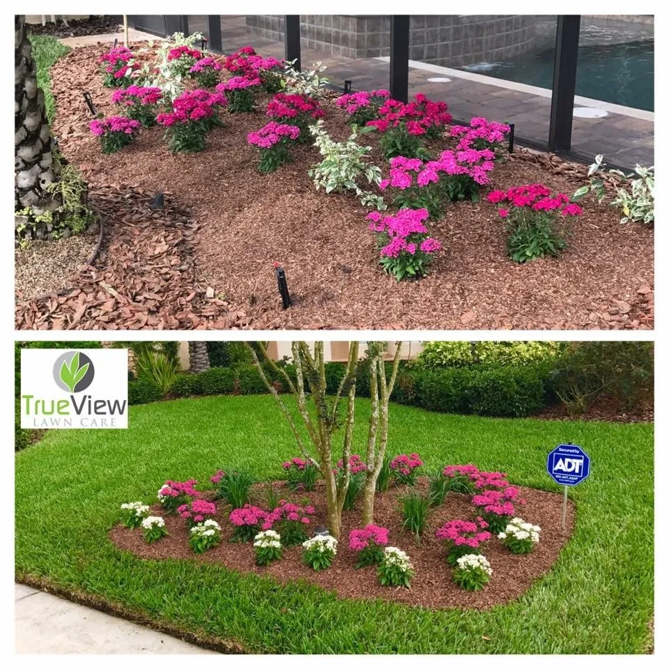 Trusted lawn mowing service in Lithia, FL by TrueView Lawn Care