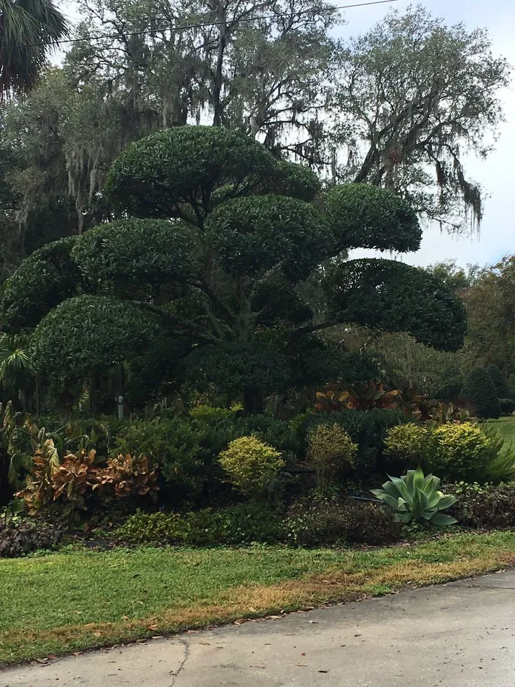 Affordable lawn care service near you across Lithia, FL - TrueView Lawn Care