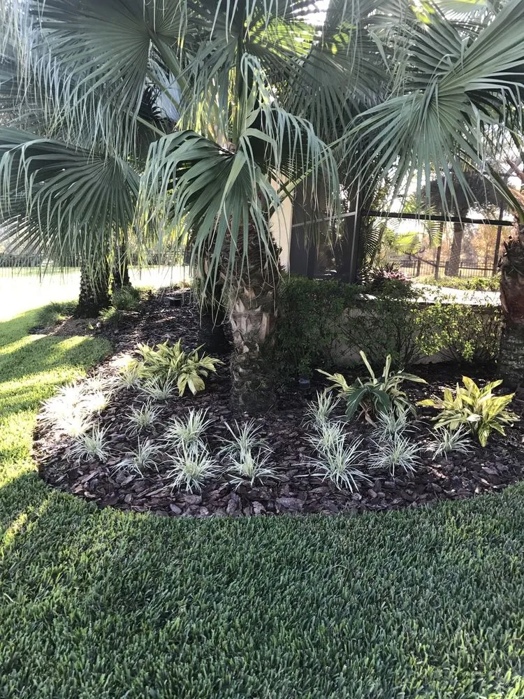 Professional yard cleanup service in Lithia, FL by TrueView Lawn Care