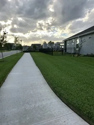 TrueView Lawn Care Logo