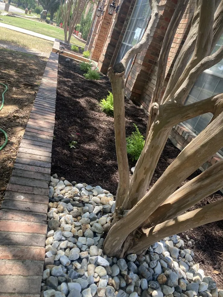Professional landscape installation for year-round maintenance across North Richland Hills, TX - Truevision Lawn & Landscapes