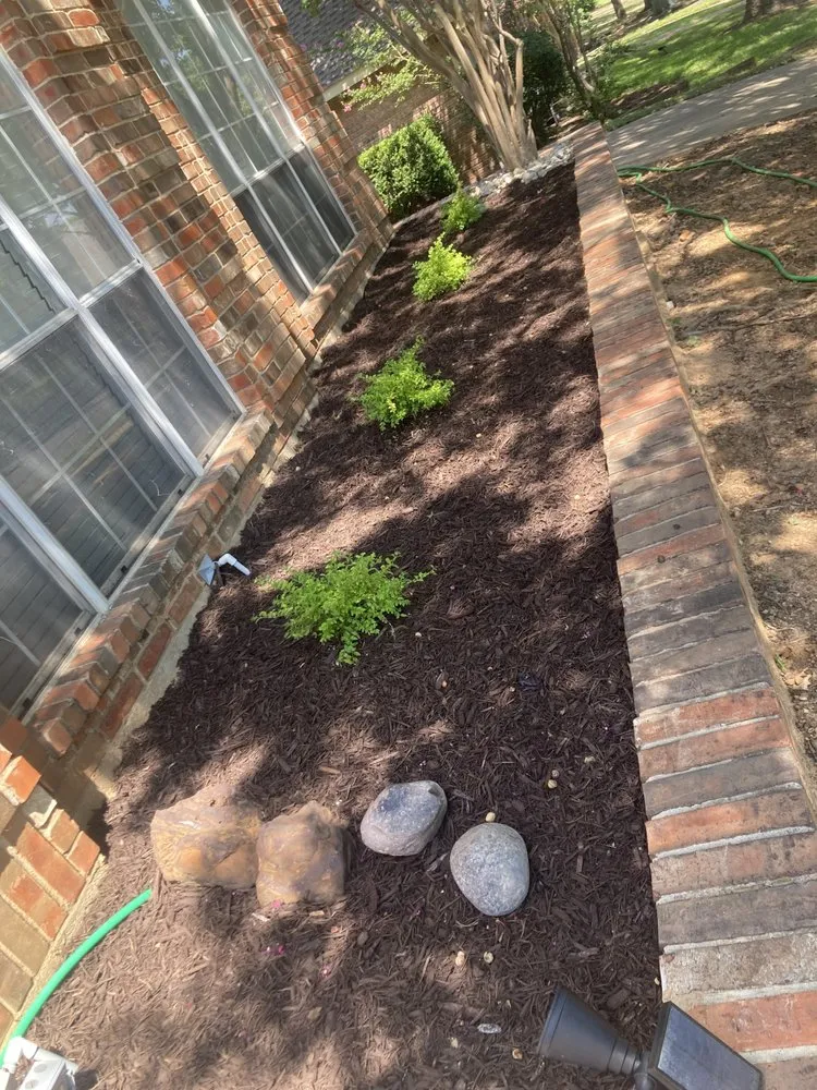 Local yard cleanup service in North Richland Hills, TX by Truevision Lawn & Landscapes