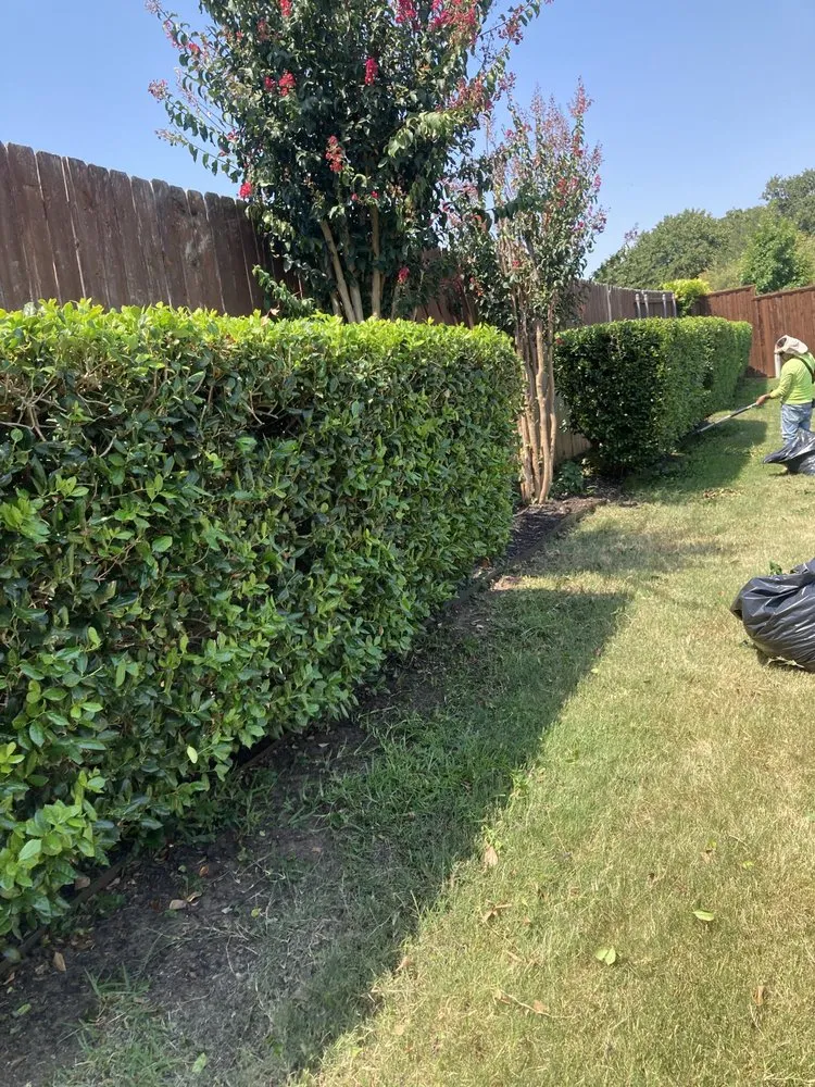 Trusted yard maintenance experts serving North Richland Hills, TX - Truevision Lawn & Landscapes