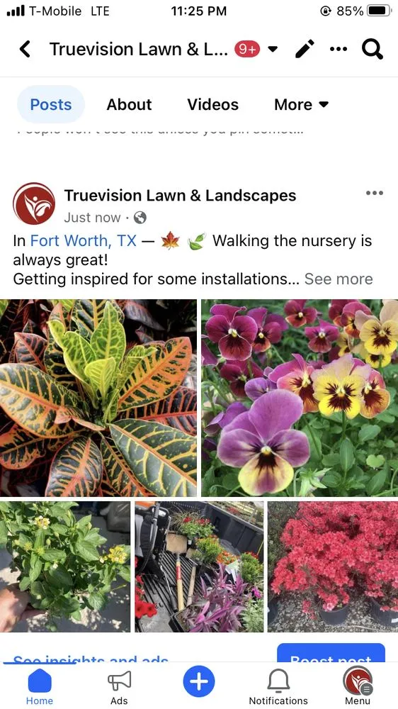 Trusted residential landscaping near you in North Richland Hills, TX by Truevision Lawn & Landscapes