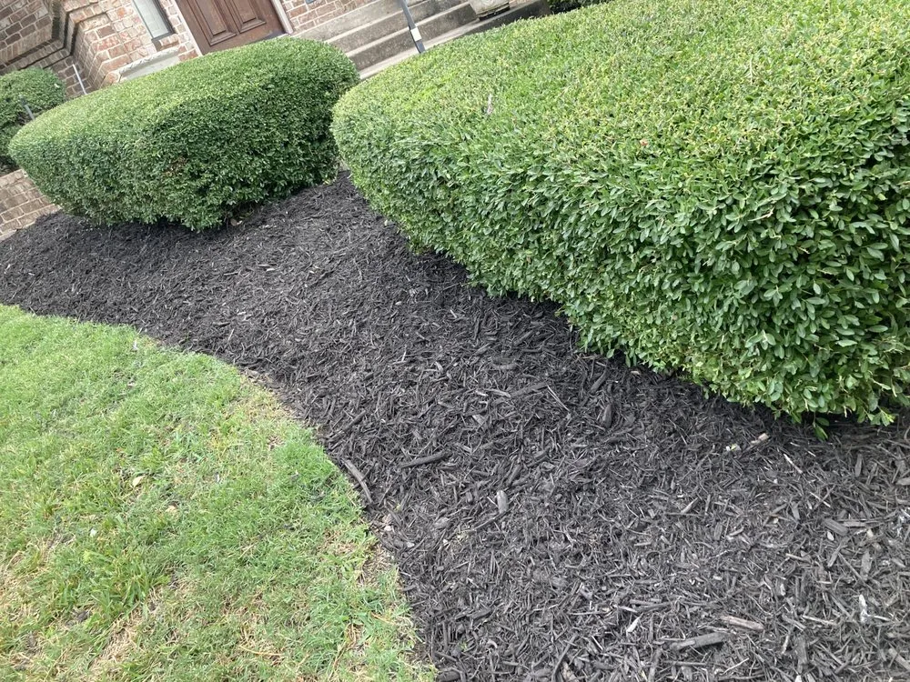 Top-rated landscape installation experts serving North Richland Hills, TX - Truevision Lawn & Landscapes