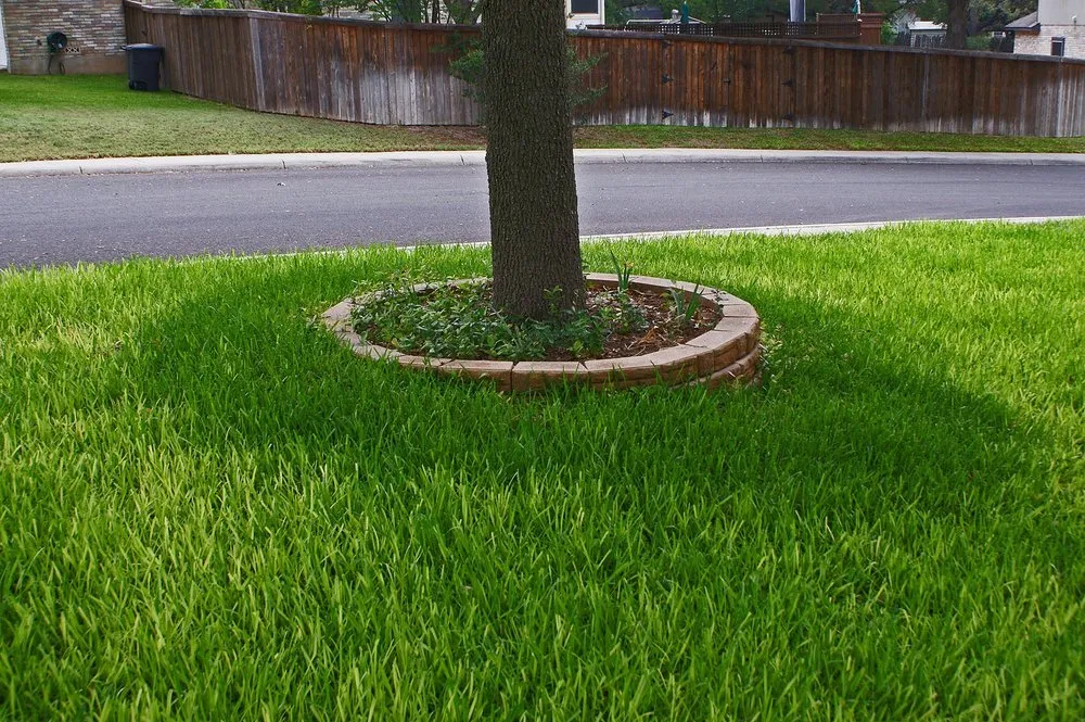 Expert residential landscaping in Scott, LA by TruGreen - Acadiana