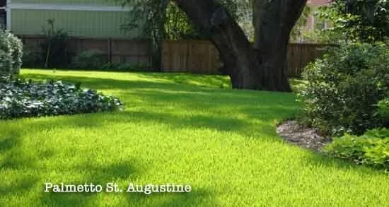 Trusted garden landscaping in Scott, LA - TruGreen - Acadiana