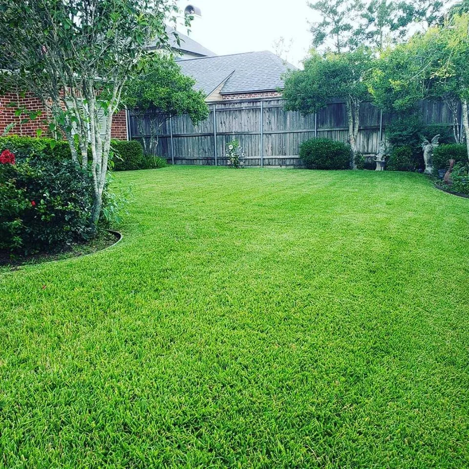 Top-rated landscape design for year-round maintenance in Scott, LA by TruGreen - Acadiana
