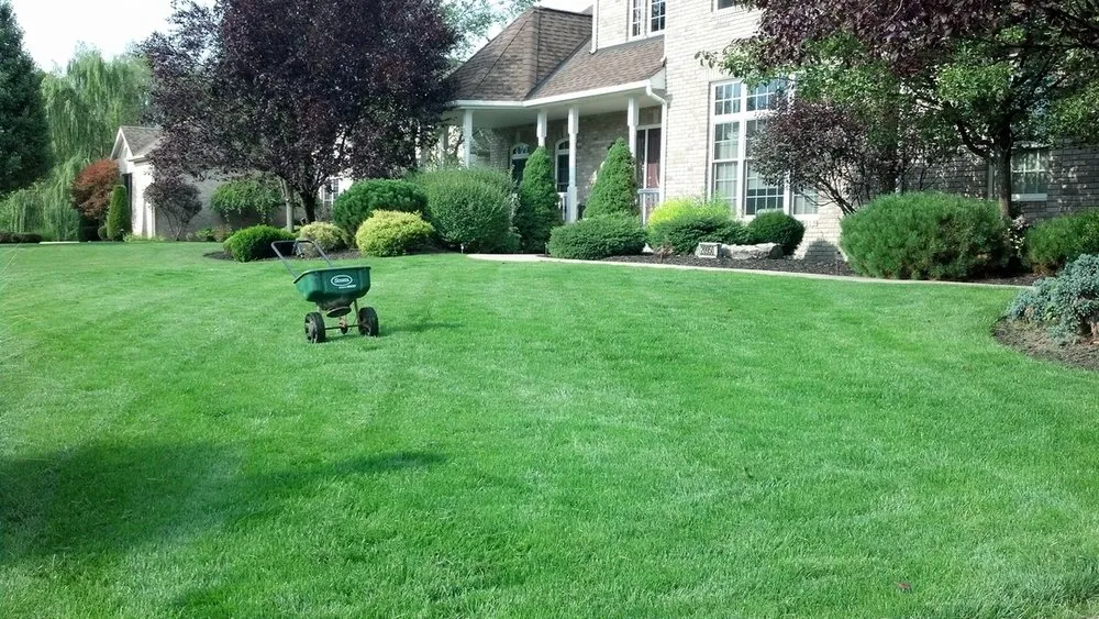 Top-rated residential landscaping with custom design in Scott, LA by TruGreen - Acadiana