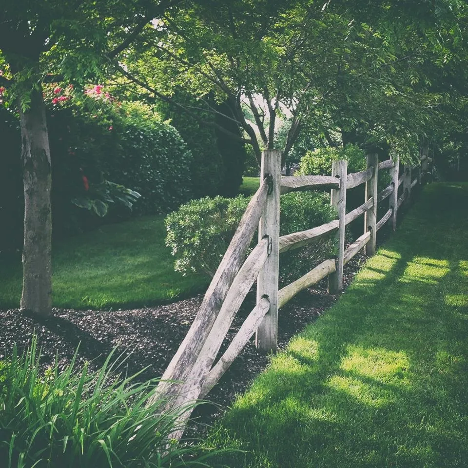 Expert outdoor landscaping in Bossier City, LA - TruGreen - Bossier City