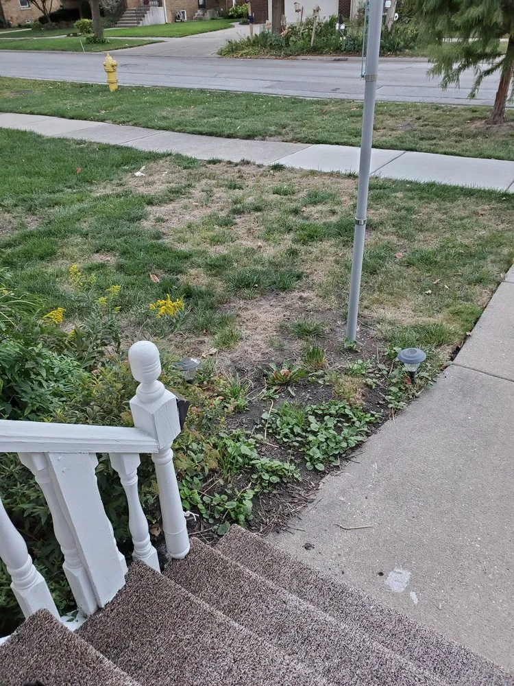 Local outdoor landscaping near you across Wheeling, IL - Trugreen Chemlawn