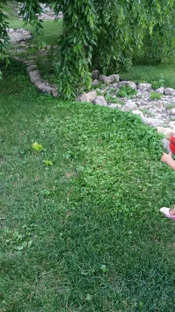 Affordable outdoor landscaping in Wheeling, IL - Trugreen Chemlawn